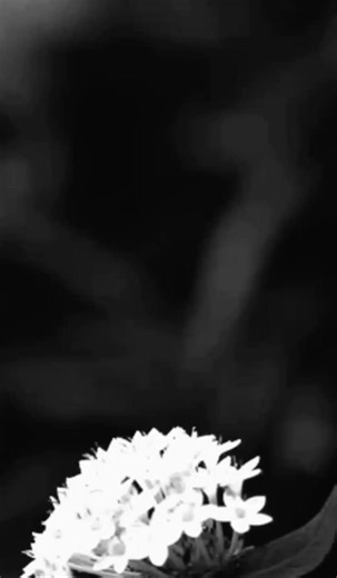 Asma e Nabi ﷺ