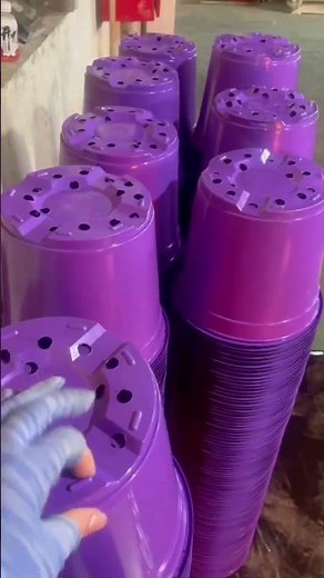 Thermoformed PP Purple Plastic Plant Pots Wholesale Supplier #flowerpot #plantpots #plasticpots