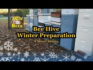 Bee Hive Winter Preparation 1 of 6 (Wintering Honey Bees)