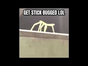 10 Hours of Get Stick Bugged LOL