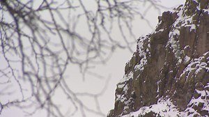 How climate change is impacting Colorado's snowpack