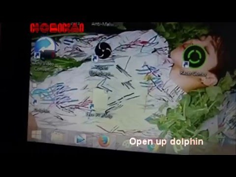 How to play wii games with keyboard [Dolphin Emulator]