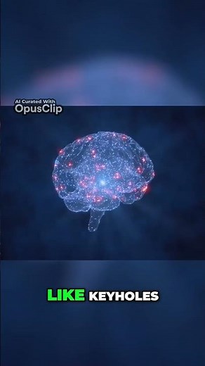 How Psychedelics Reveal Inner Realities