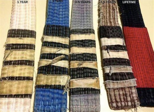 BJJ's most controversial coach on How To Train At Each Belt In Jiu Jitsu For FASTER PROGRESS