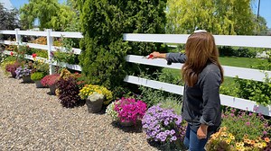 363K views · 1K shares | Flower Alley Update!  This is a crazy...