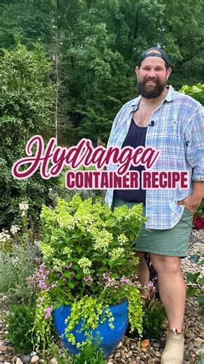 Johnny Krause | Just found the most beautiful Candy Apple Hydrangea from @monroviaplants at @thebarnnursery, and I couldn’t resist turning it into the star... | Instagram