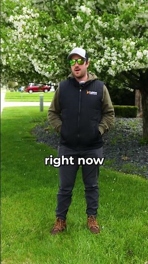 Why Bentgrass Turns Dry & Brown!