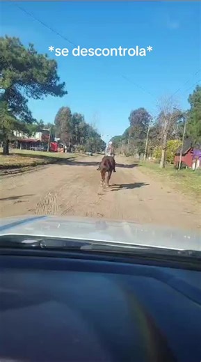 PARA PAPÁ NO ME FRENAAAA PAPAAAAAAA #paratiiiiiiiiiiiiiiiiiiiiiiiiiiiiiii #parati#caballos #jinete #papa