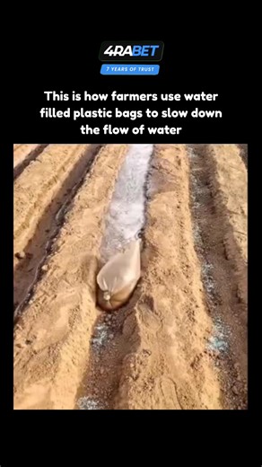 Explore l Learn l Facts on Instagram: "Farmers often use simple, low-cost methods to manage irrigation, and one surprisingly effective trick involves water-filled plastic bags. These bags are placed strategically in irrigation channels or small field pathways to partially block and redirect the flow of water. By acting as soft, flexible barriers, they slow the current without completely stopping it, allowing water to spread more evenly across crops instead of rushing through one section. The pri
