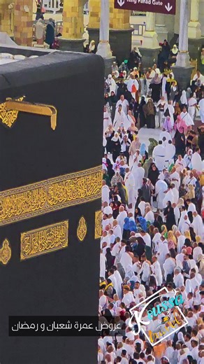 #creatorsearchinsights #عروض عمرة #شعبان و #رمضان ❤️✅️🇩🇿 أسبوع شعبان / أسبوع رمضان فندق ميسان المقام 350 م 309000 دج فندق الديوان أجياد 650 دج 233000 دج فندق أبراج التيسير 900 م 235000 دج فندق زوار البيت 400 م 280000 دج فندق جوهرة البيت 500 م 260000 دج #أوائل___رمضان فندق ميسان المقام 350 م 377000 دج فندق أبراج التيسير 900 م 280000 دج فندق زوار البيت 400 م 330000 دج فندق جوهرة البيت 500 م 310000 دج #أواخر___رمضان فندق ميسان المقام 350 م 560000 دج فندق زوار البيت 400 م 510000 دج فندق جوهرة البي