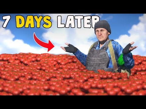 I Built The BIGGEST Tomato Farm In DayZ!