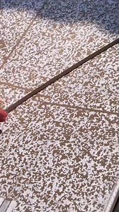 46K views · 847 reactions | WHEN YOU ARE THE GENERAL CONTRACTOR AND YOU HiRE YOUR FRiENDS TO REMODEL A HOUSE | Riff Raff | Facebook