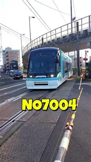 🚋Tram 7004【鹿児島市電7004号】新川４号踏切通過！ passing Shinkawa No.4 Crossing 🚃#shorts✨