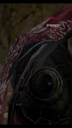 Where the heck is he going? Is he dumb or just blind?