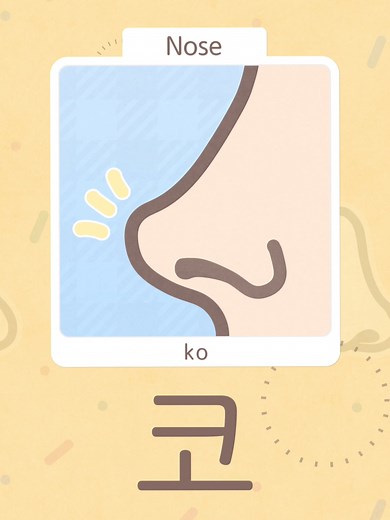 How to Say 'Nose' in Korean — 코 (ko)