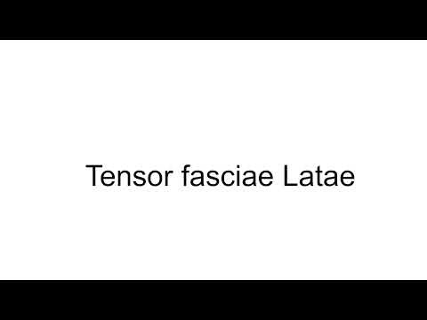 Trigger Point Therapy Technique - TFL #triggerpointtherapy
