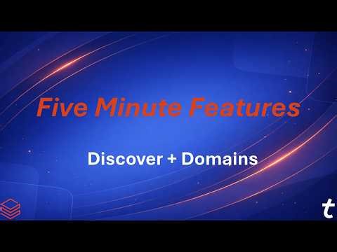 Databricks 5 Minute Features: Discover & Domains