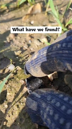 🏵 Little Victorian Treasure 🏵 💎 #mudlarking #history #victoria #find #treasurehunting