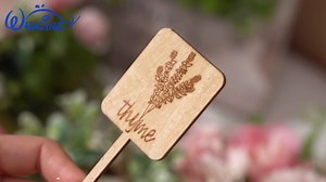 Whaline 24Pcs Wooden Plant Label Signs Planted Herb Garden Markers Plant Stake Tags with Herb Names for Indoor Outdoor Nursery Garden Decoration, 12 Styles