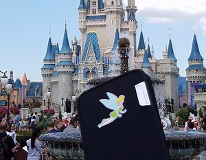 Disney Pin Trading | United States | PinFolio