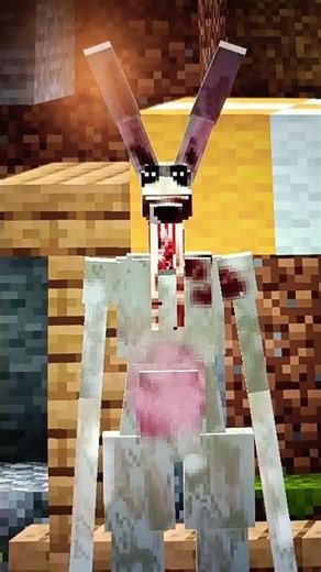 cute rabbit looking at me #cute #cool #rabbit #bigears #rodent