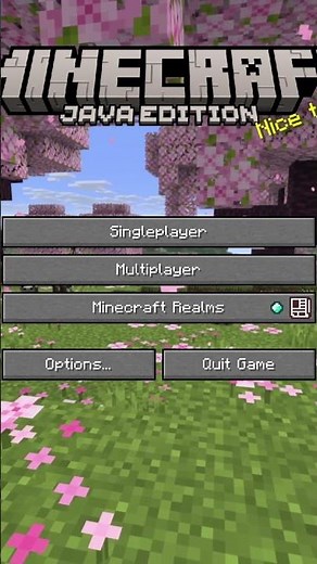 Minecraft 26.1.1 Server IP Address