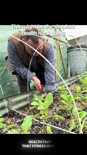 The Simplest Health Hack Fitness Gurus Don’t Talk About There’s a pattern in the longest-living communities on earth. They don’t obsess over complicated fitness routines or expensive supplements. They move naturally every day, spend time outdoors, grow or cook fresh food, stay socially connected and keep a sense of purpose. None of it is flashy, but it’s consistent. This isn’t about perfection or extreme lifestyles — just small daily habits that quietly stack up over time. Fresh air, real food, 