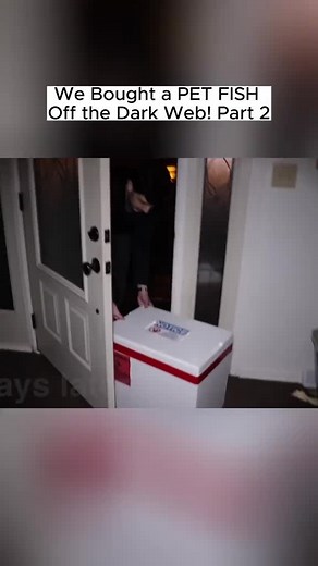 We Bought a PET FISH Off the Dark Web! p2 #lifeofluxury #luxarydark #skinwalker #scary #viral #viralvideo #dopplerganger #creepy #fypシ゚viral #foryou