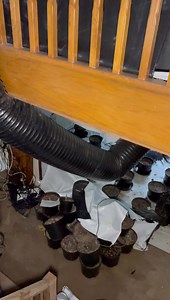 Inside the drug mansion folks | Urbex Lost & Found