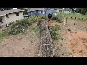 BARC Tree Care | Another boring tree removal with the Haulotte 5533A Towable Boom Lift