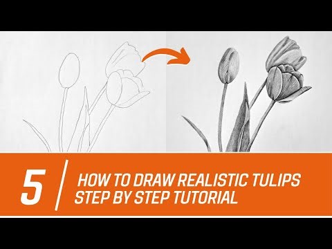 How to Draw Realistic Tulips with Pencil | Step by Step Tutorial