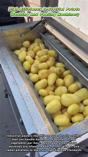 High Efficiency Industrial Potato Washing And Peeling Machinery