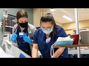 Elmhurst University Online Accelerated BSN Student Experience | Elysa Katz