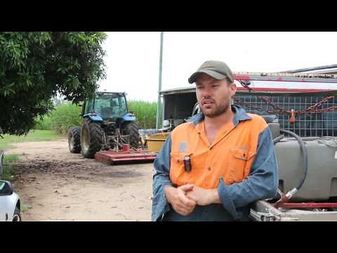 Starting out sugarcane farming