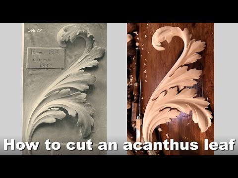 Carving an acanthus leaf from wood. Woodcarving