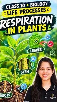 Respiration in Plants |Life Processes| #science#scienceshorts#biology#class10 #shorts #shortsfeed