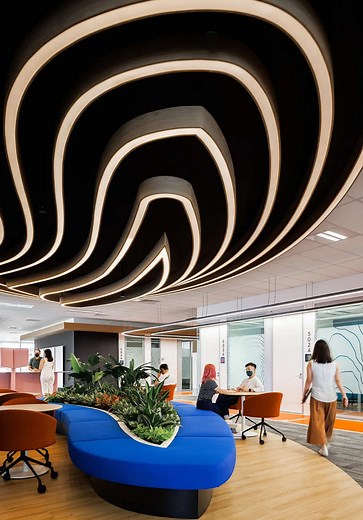 Designing Biophilic Workspaces for Employee Wellness