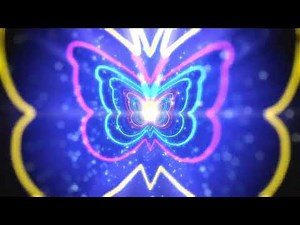 Colorful Butterflies Moving – Animation Background