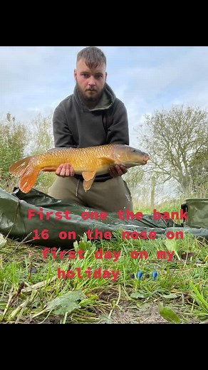 Owen Bugler (@owenbugler)’s videos with original sound - NOTION