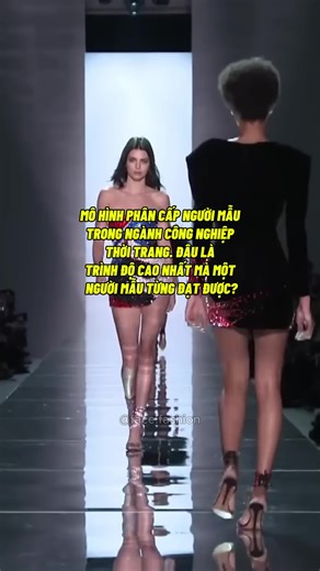 Mô Hình Phân Cấp Người Mẫu Trong Ngành Thời Trang