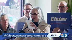 Elaine Haney announces candidacy for state senate