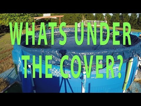 Intex Pool Spring Opening " Whats Under The Cover"