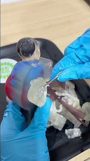 "Full Color 3D Body Scanner: See Yourself in 3D!"