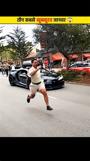 Top 3 White Animals That Look Unreal 😳 #facts #nobatidao #shorts