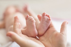 Plantar reflex | News24