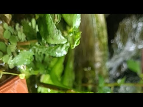 terapi penghantar tidur, relaxing dan menenangkan