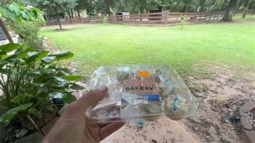Cupcakes for Ringo | Ima Survivor Donkey and Farm Animal Sanctuary