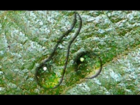 Photoshop tutorial: Water drops! How to make them look real.