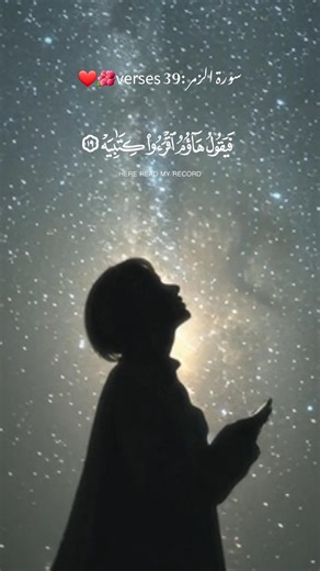 Surah zumar 🌺❤️ #ytshorts #fypシ #love #quranwala #peace #tilawati354 #unfrezzmyaccount #ynf