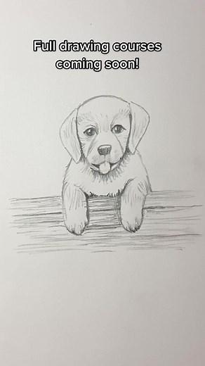 Easy Puppy Drawing Tutorial: Step-by-Step Guide